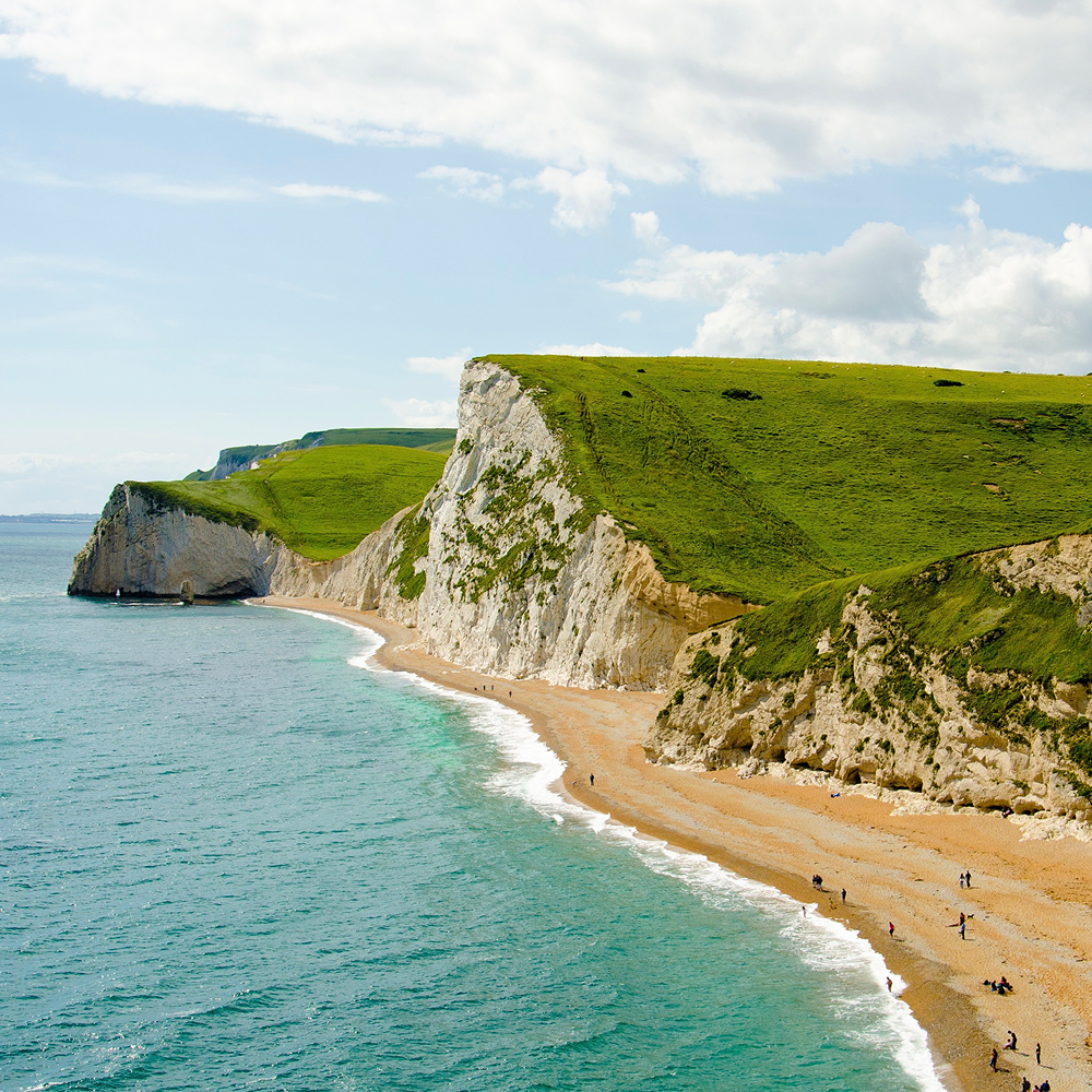 Fossils and frustration — bringing a breath of fresh air to the Jurassic Coast Trust