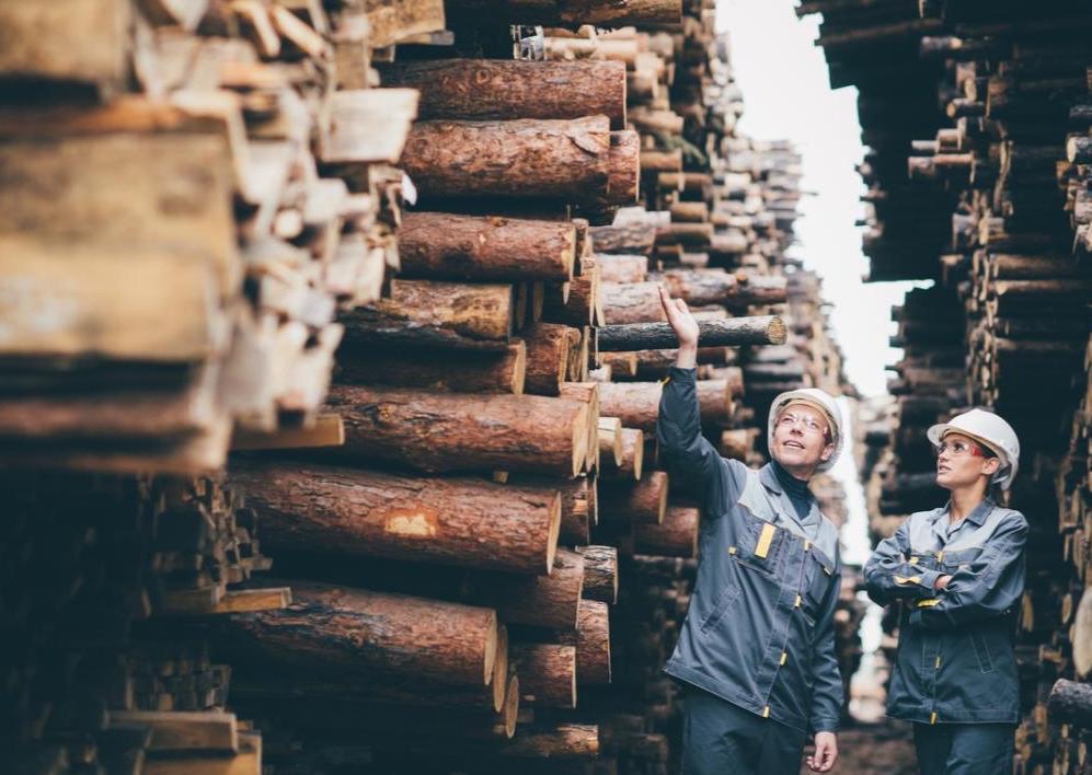 Two trade workers are looking at lumber.