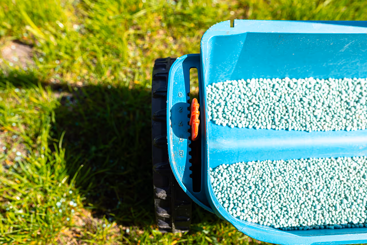 Professional weed control service near me for healthier lawns in Birmingham, AL