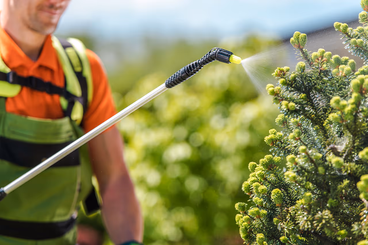 Shrub care treatment promoting healthy landscape plants and shrubs