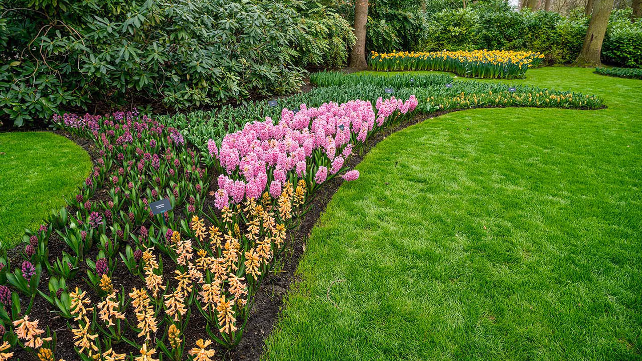 Beautiful weed-free landscape beds with pre-emergent protection