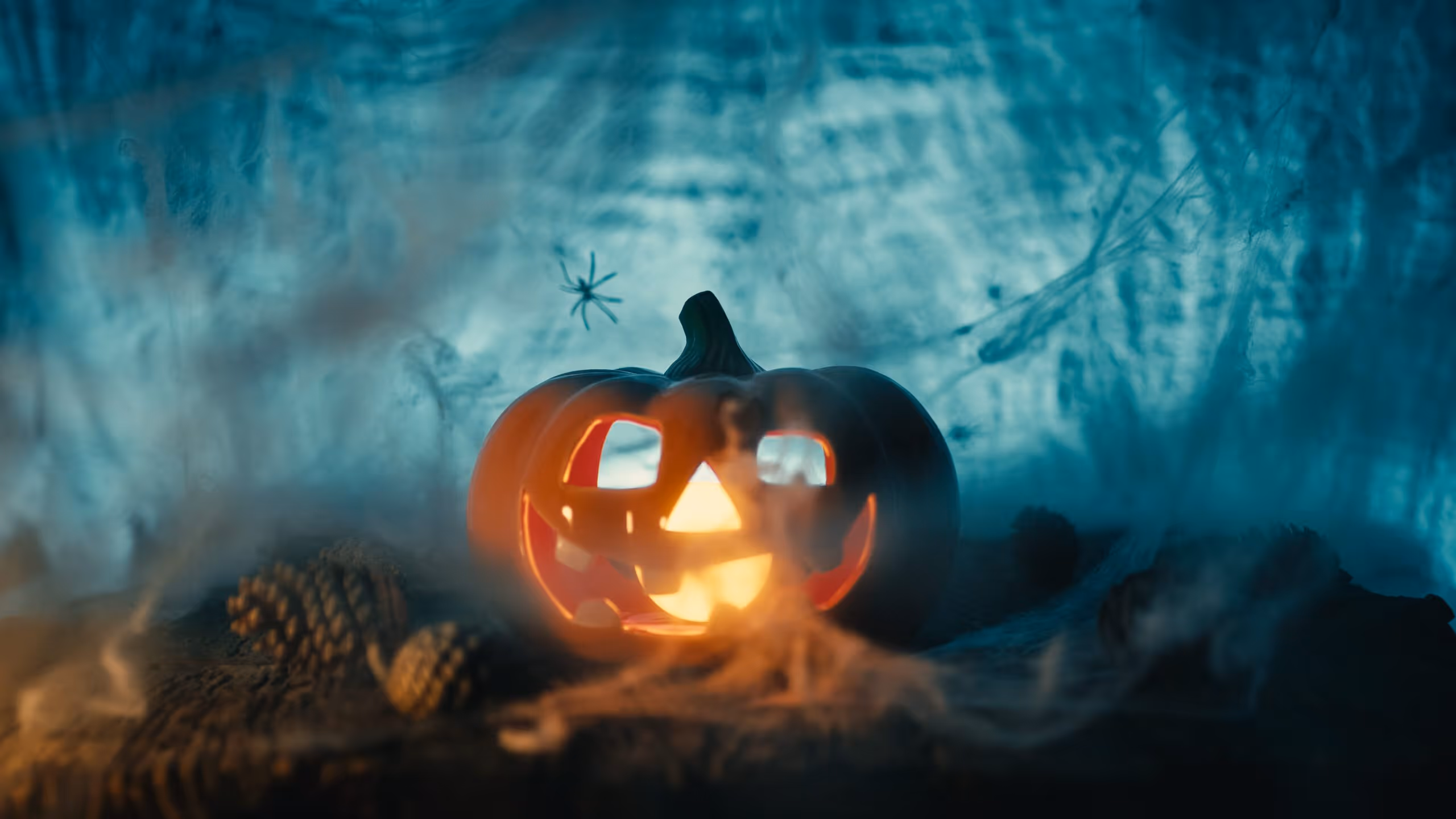 Carved Halloween pumpkin draped in cobwebs