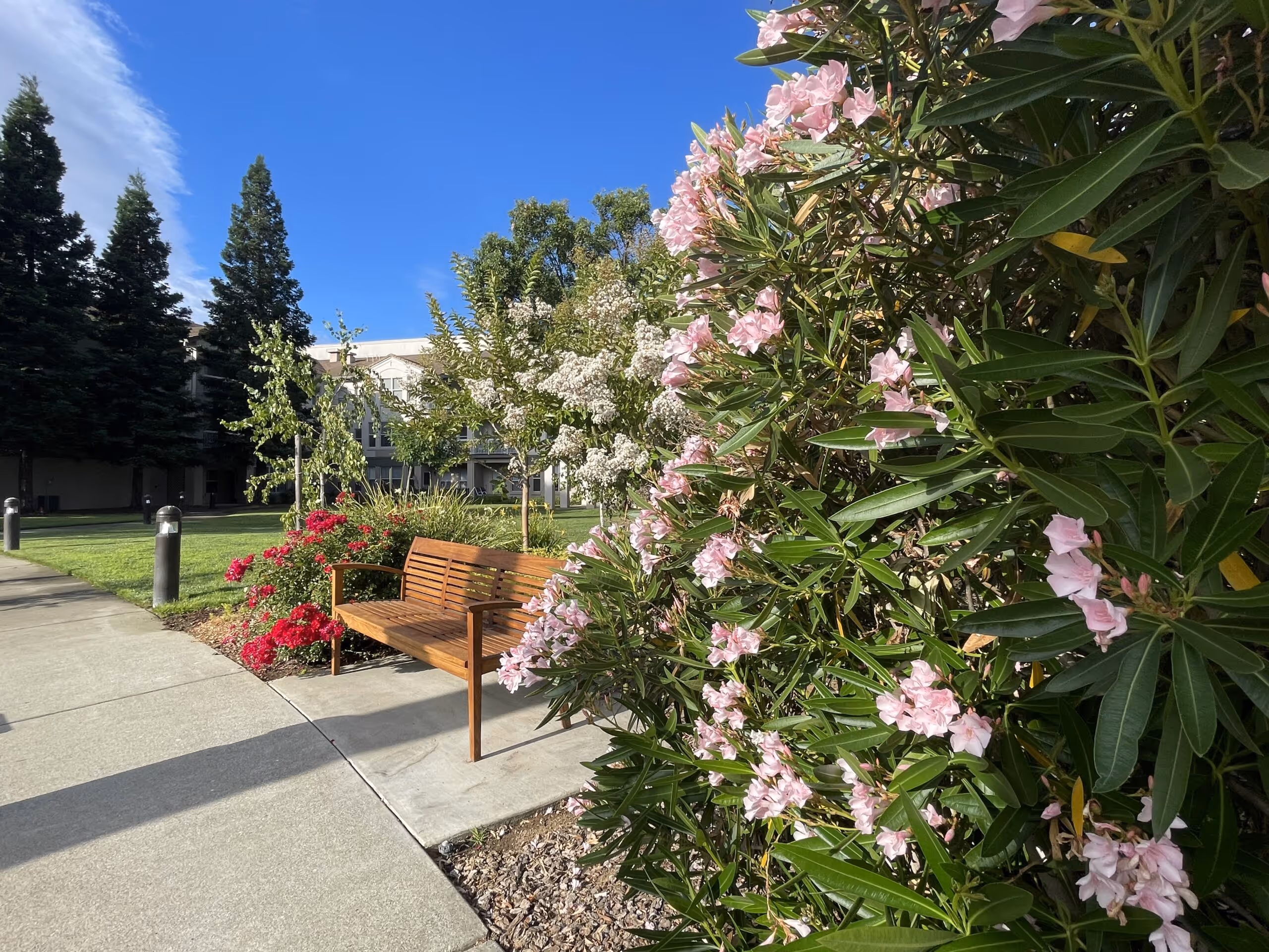 Seasonal flowers along a shaded walking path at Paradise Valley Estates