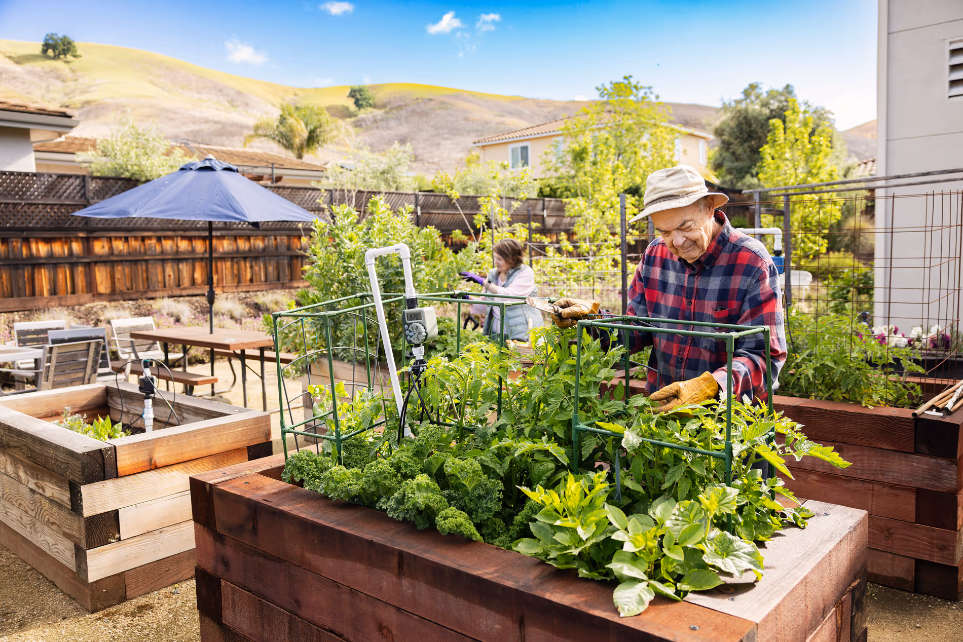Elderly man gardening in raised wooden beds with a woman tending plants in the background under blue sky.