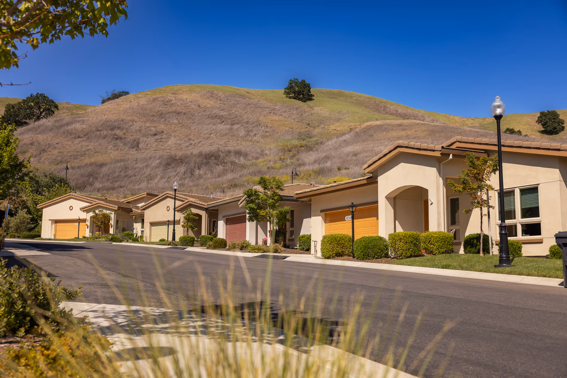 Row of single-story tan houses with colorful garage doors on a street below grassy hills under a clear blue sky.