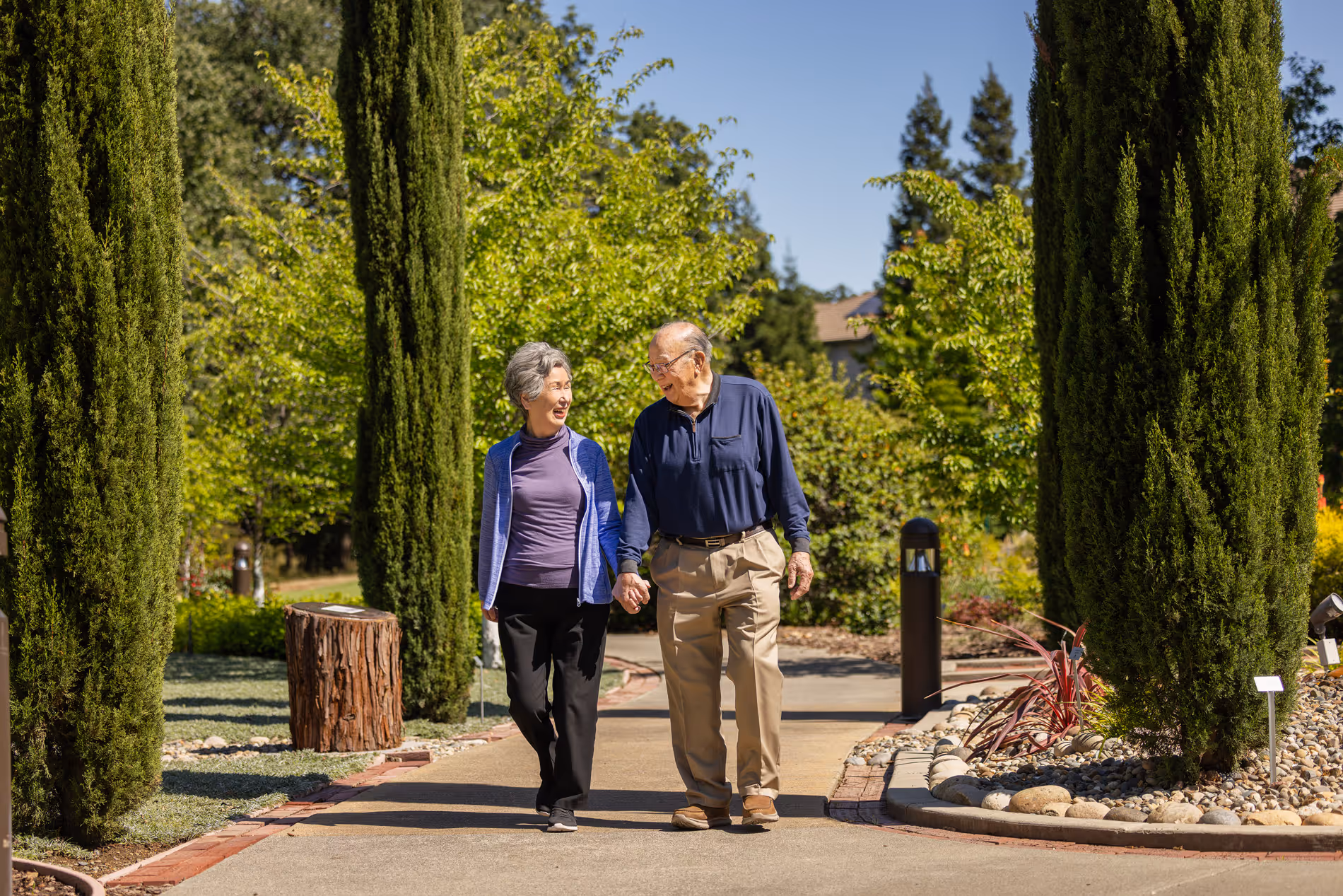 Elderly couple holding hands and smiling while walking on a sunny path with tall trees.