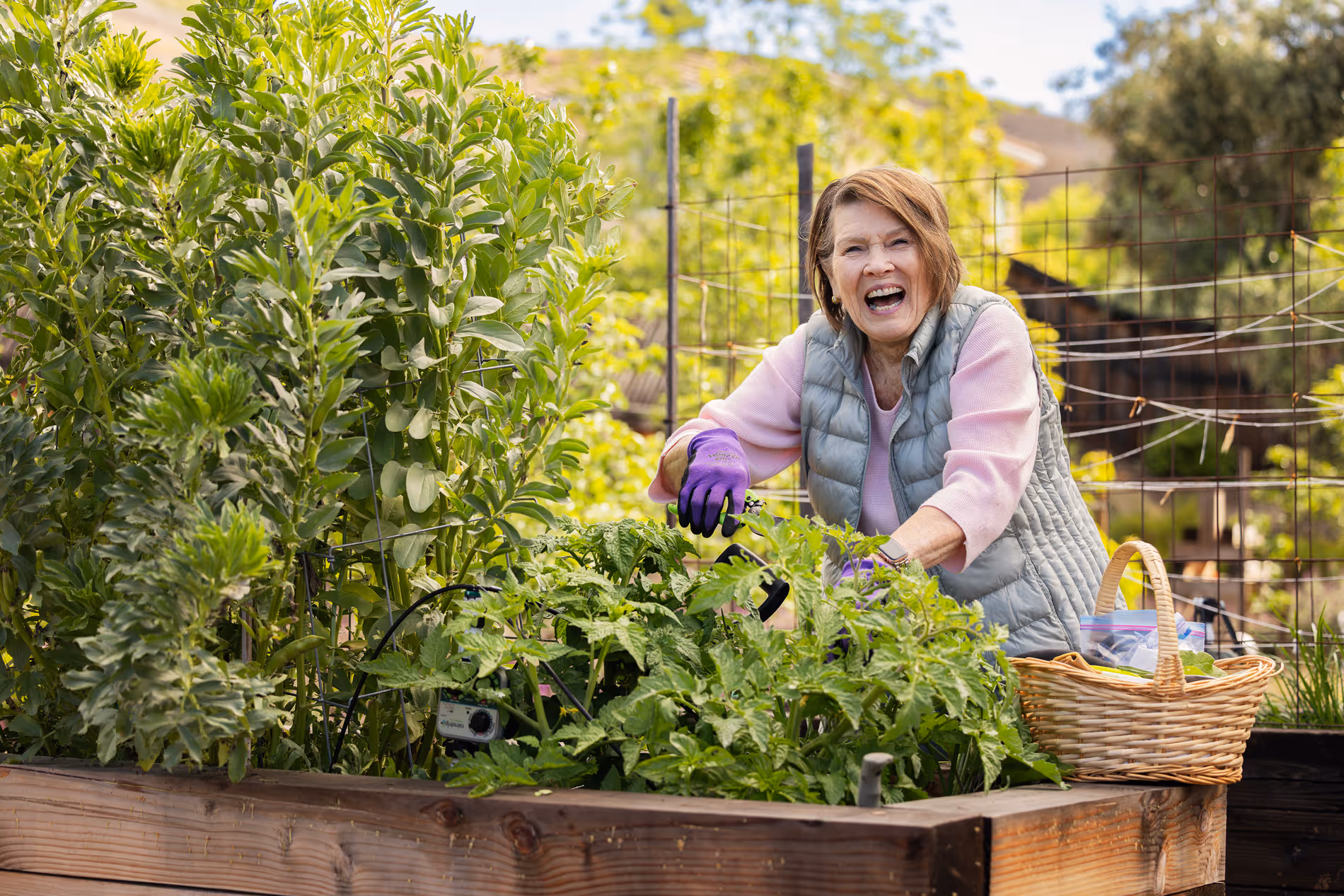 A woman smiles while tending to plants in a raised garden bed, holding gardening tools.