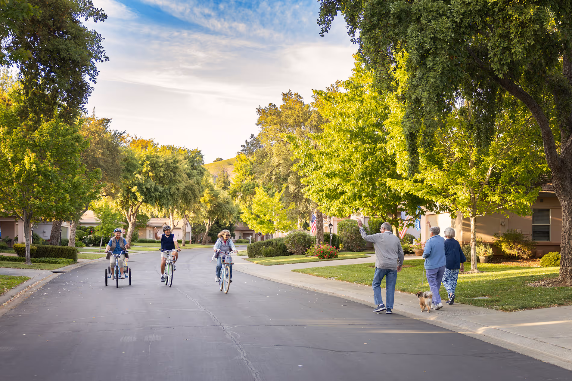 People are riding bicycles and walking a dog on a sunny neighborhood street.