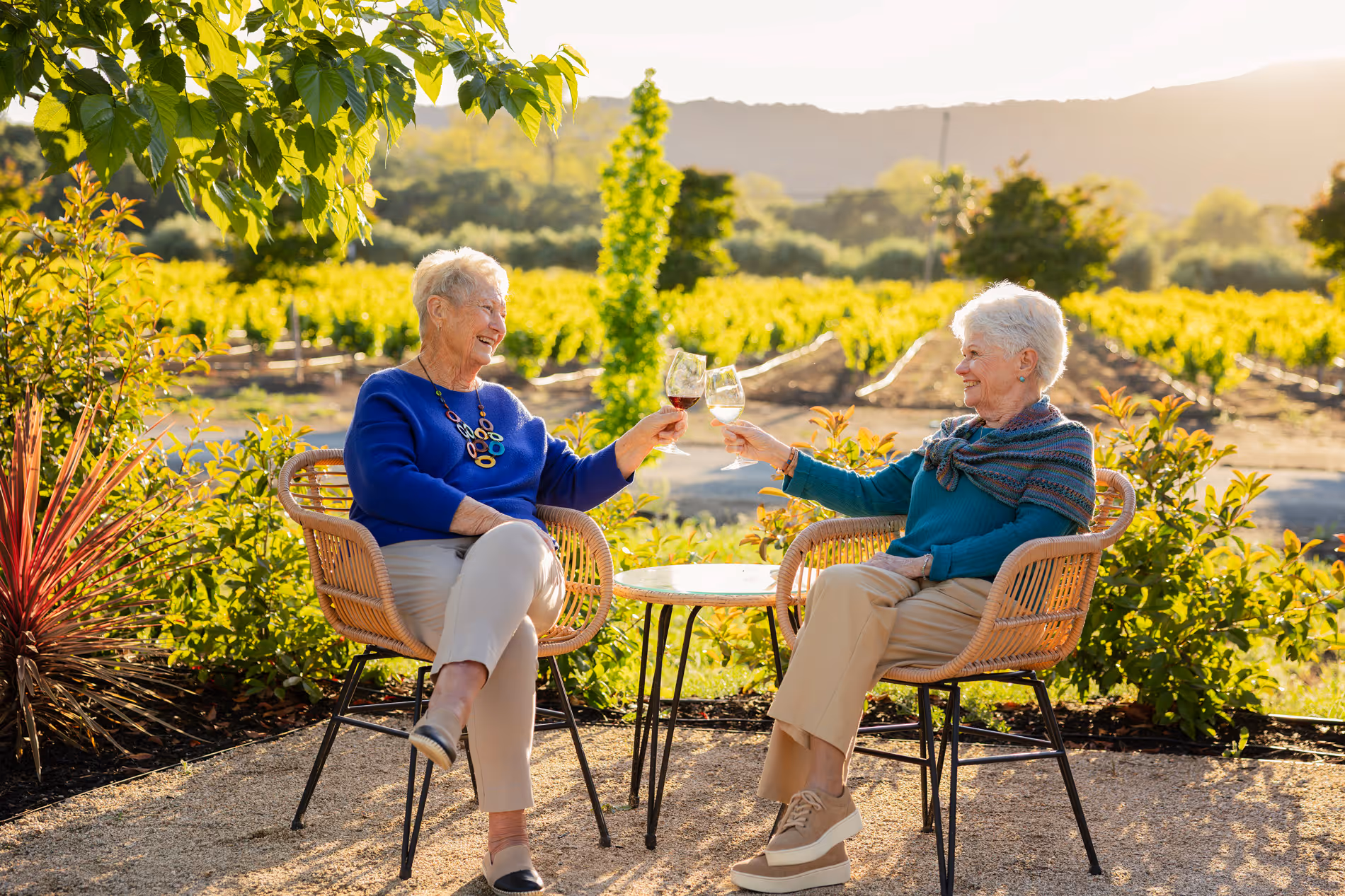 Two elderly women sitting outside, smiling and clinking wine glasses in a vineyard setting.