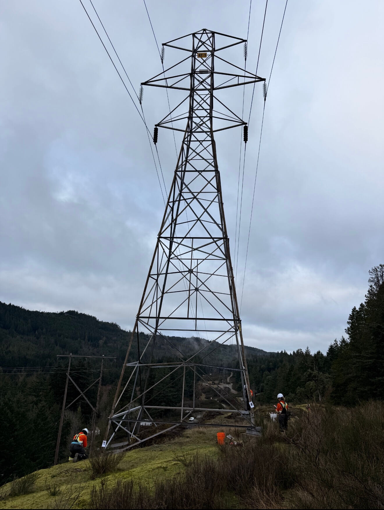 Tower structure review for members, access, and defects.