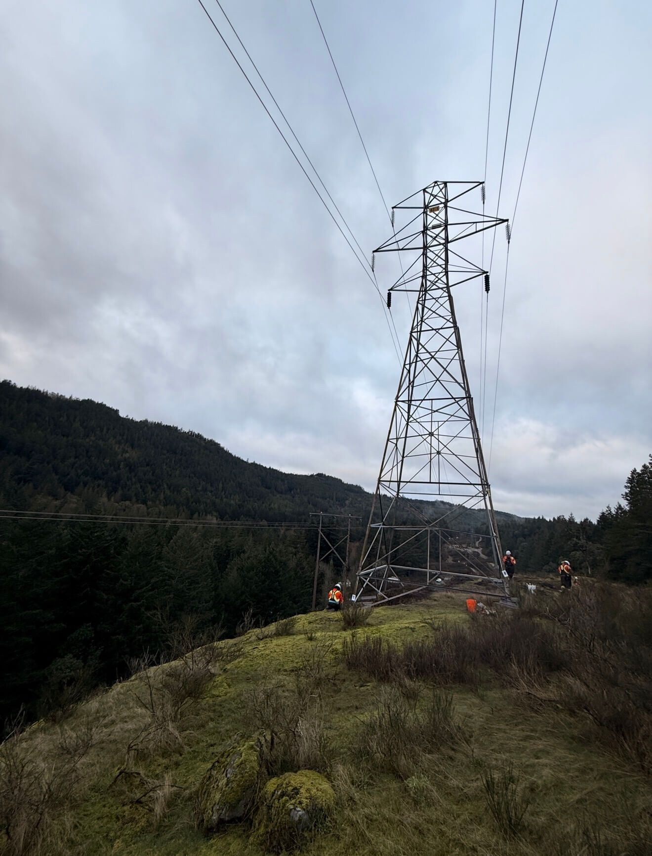 Tower structure review for members, access, and defects.