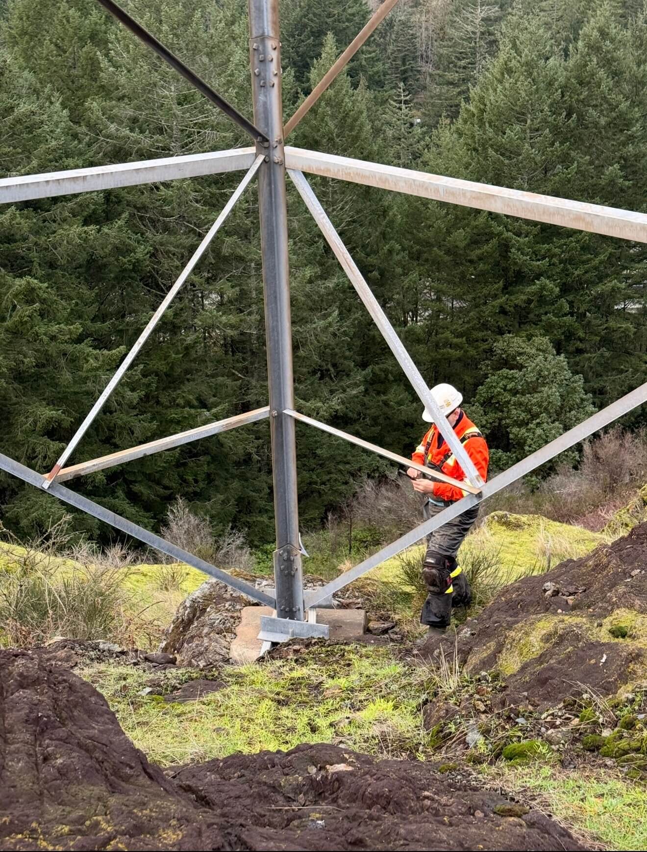 Tower structure review for members, access, and defects.