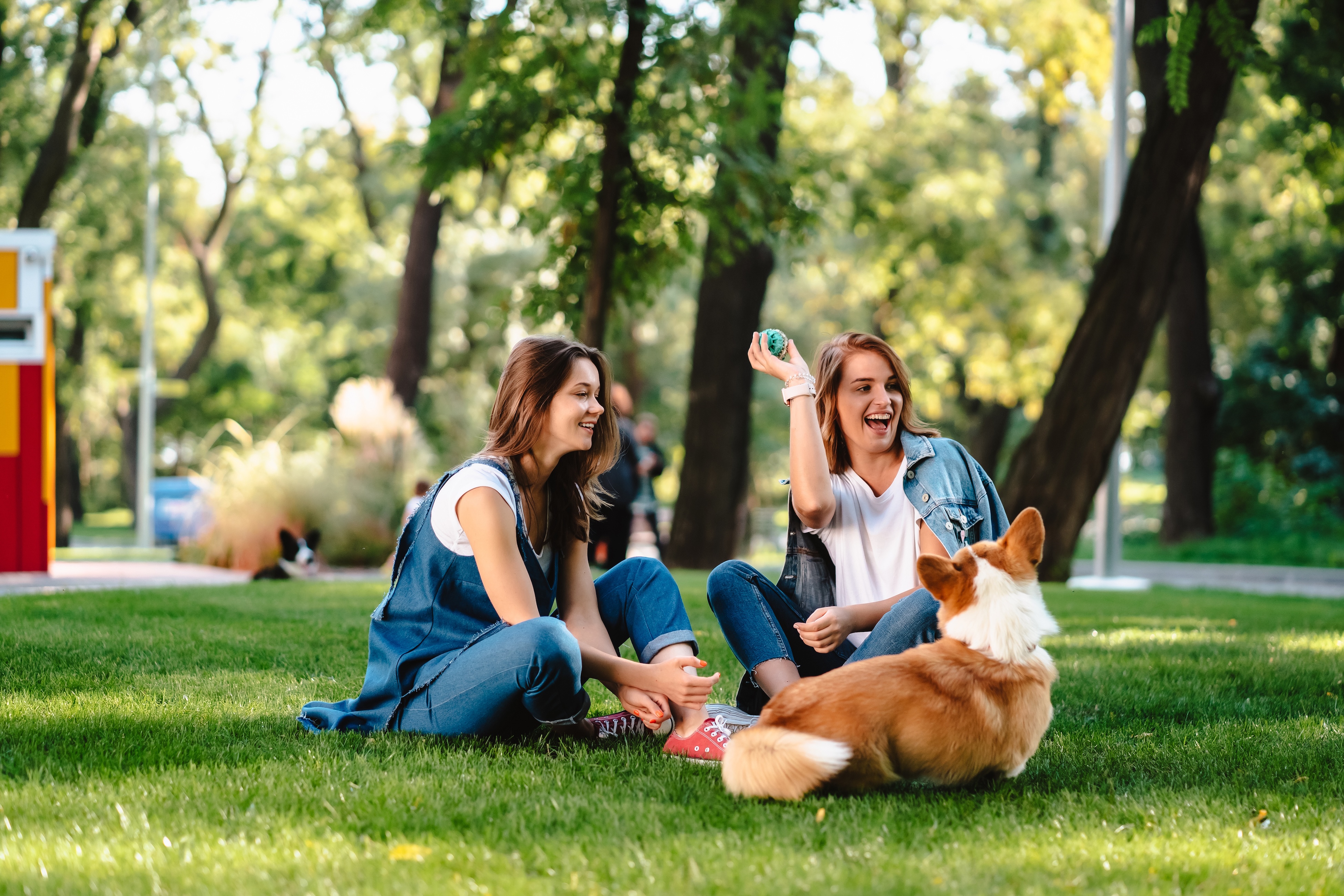 Women at a park playing with a dog stock image