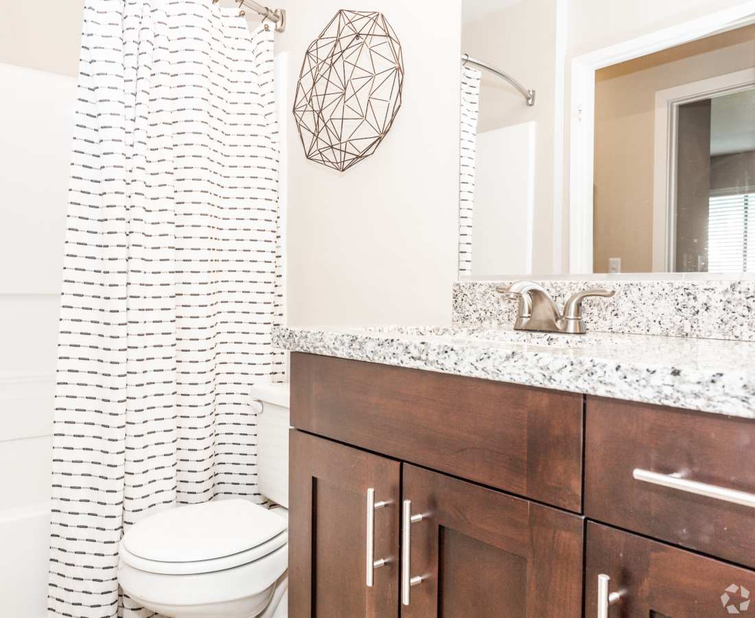 Bathroom with brown cabinets and vanity