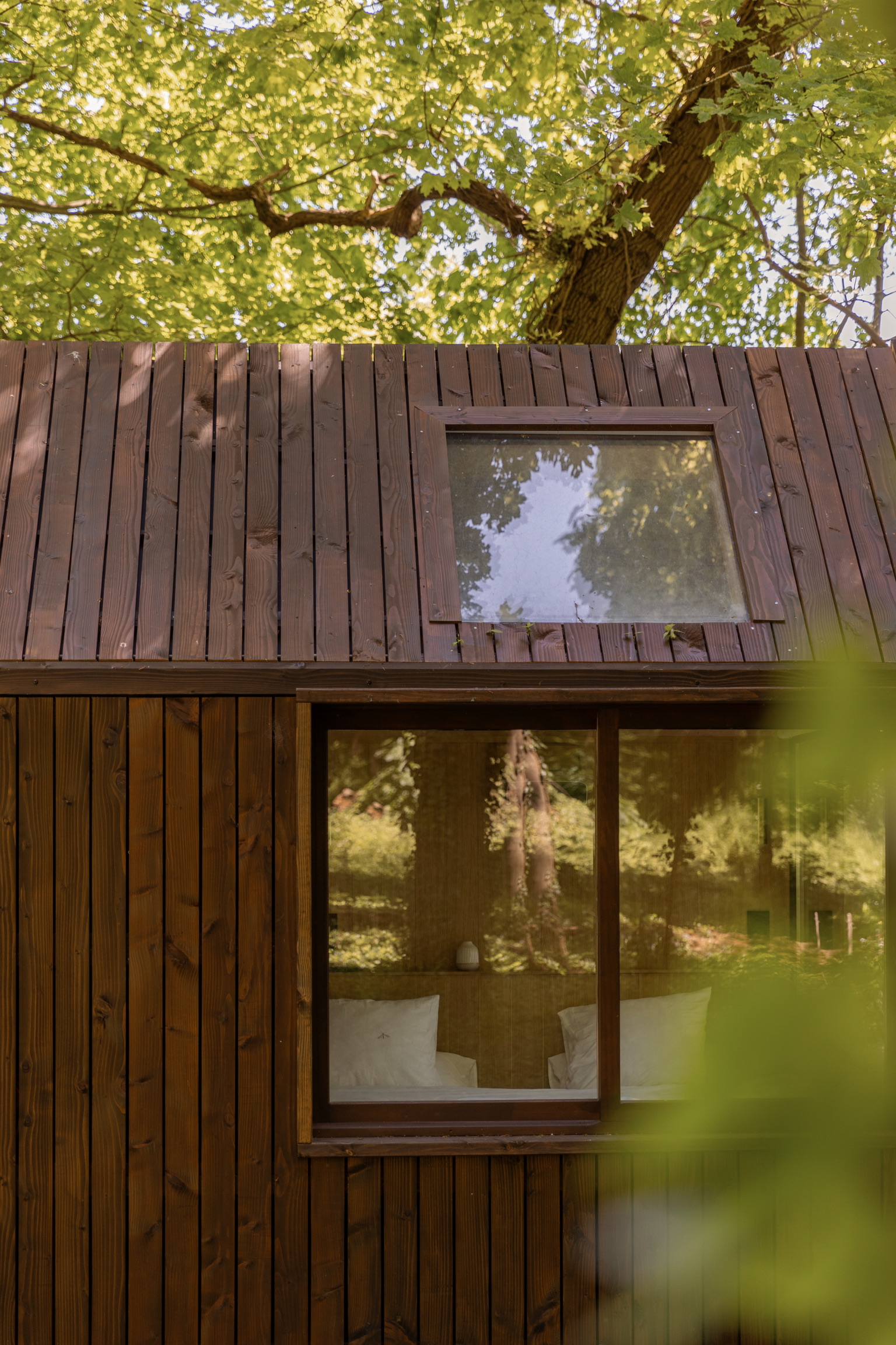 Façade en bois d'un lodge PAMPA avec fenêtre de toit, entouré d'arbres
