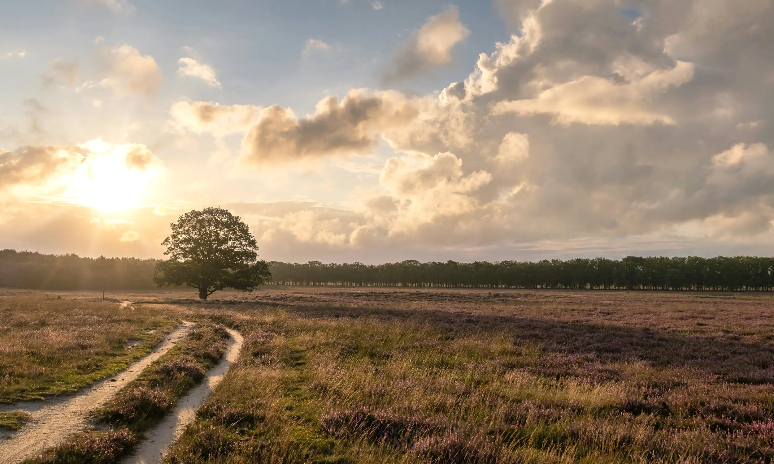 Bussum, Netherlands, home of IPG member Langendorff Tax Consultancy