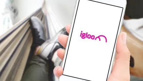 Igloo Energy partners with ev.energy to offer residential customers free EV charging