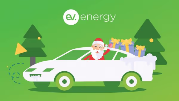 Five Tips in the Festive Season