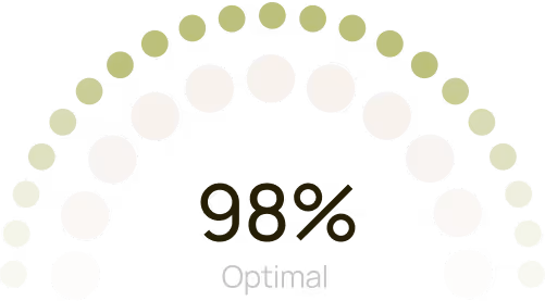 Circular progress graphic showing 98% optimal completion with green and white dots.
