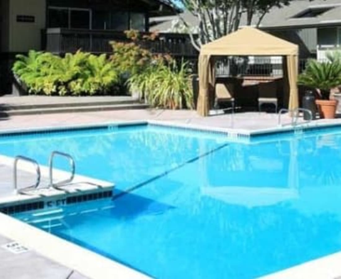 Swimming pool with cabana