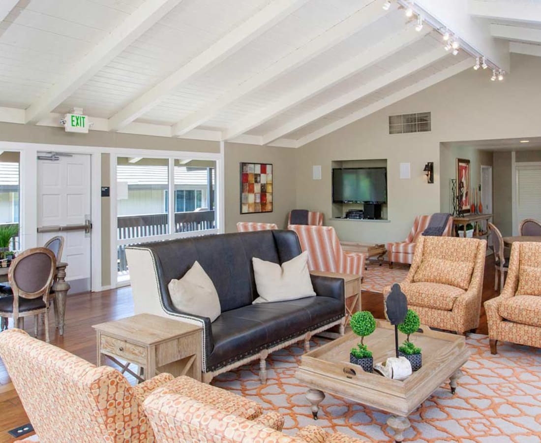 Clubhouse with seating and tv