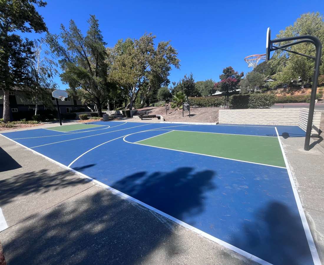 Basketball court