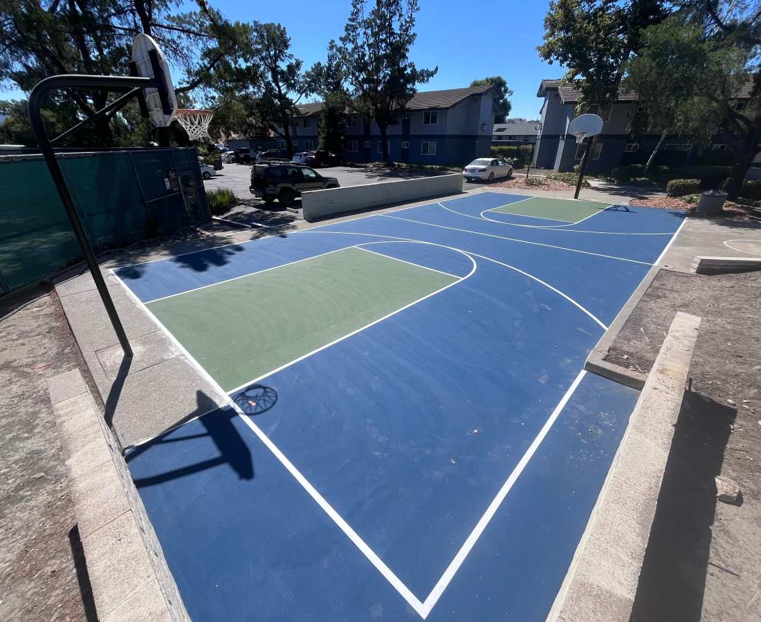 Basketball court