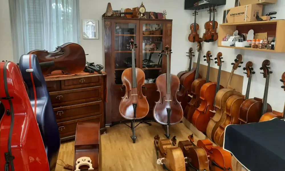 Verkaufsraum mit Celli und Violinen im Überblick