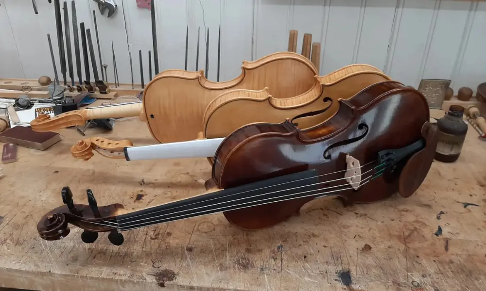 Fertige Violine im Vergleich mit einer Geige im Weissbau