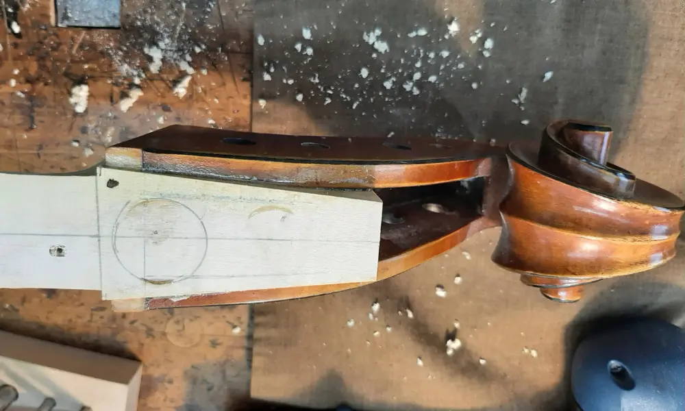 Detail eines Bogenfrosches mit Perlmutteinlage