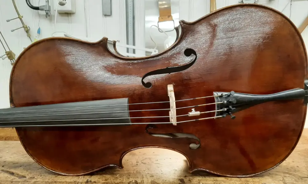 Fertige Violine im Vergleich mit einer Geige im Weissbau
