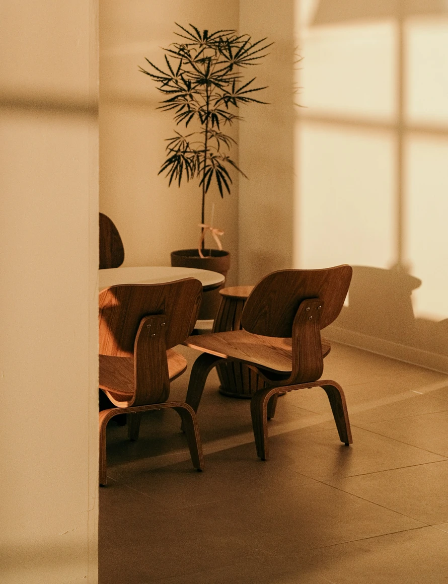 Wooden chairs around a small round table with a potted plant in a sunlit corner.