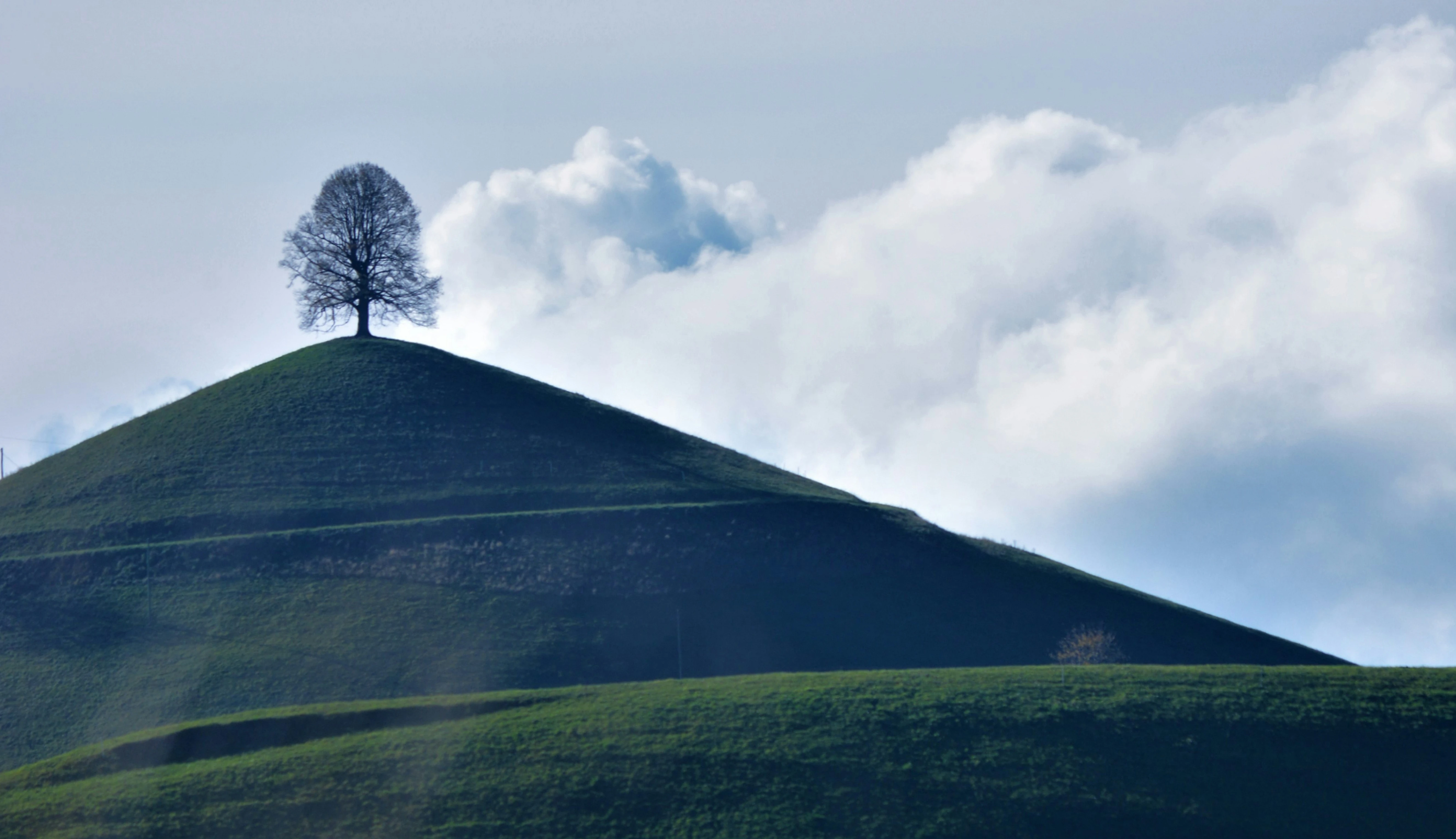 A lone leafless tree atop a green hill under a cloudy sky.