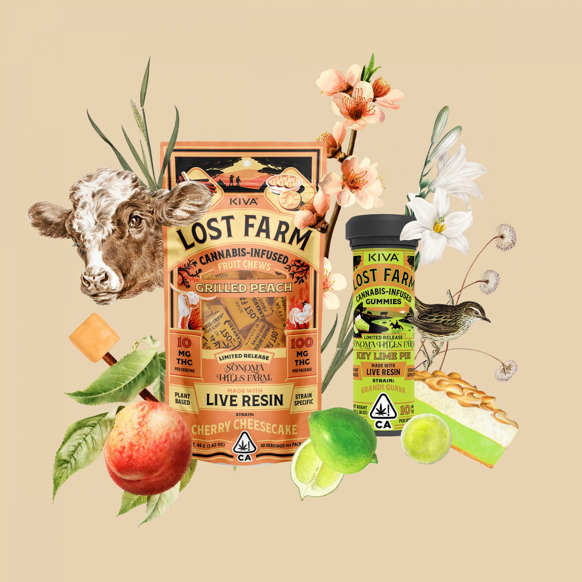 Taste the Terroir: Lost Farm + Sonoma Hills Farm