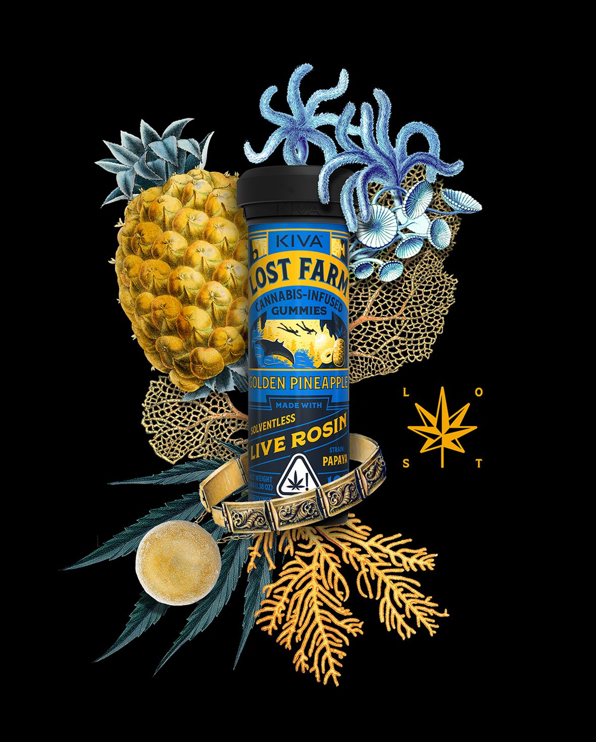 10mg Golden Pineapple x Papaya Live Rosin Gummies | Kiva Confections