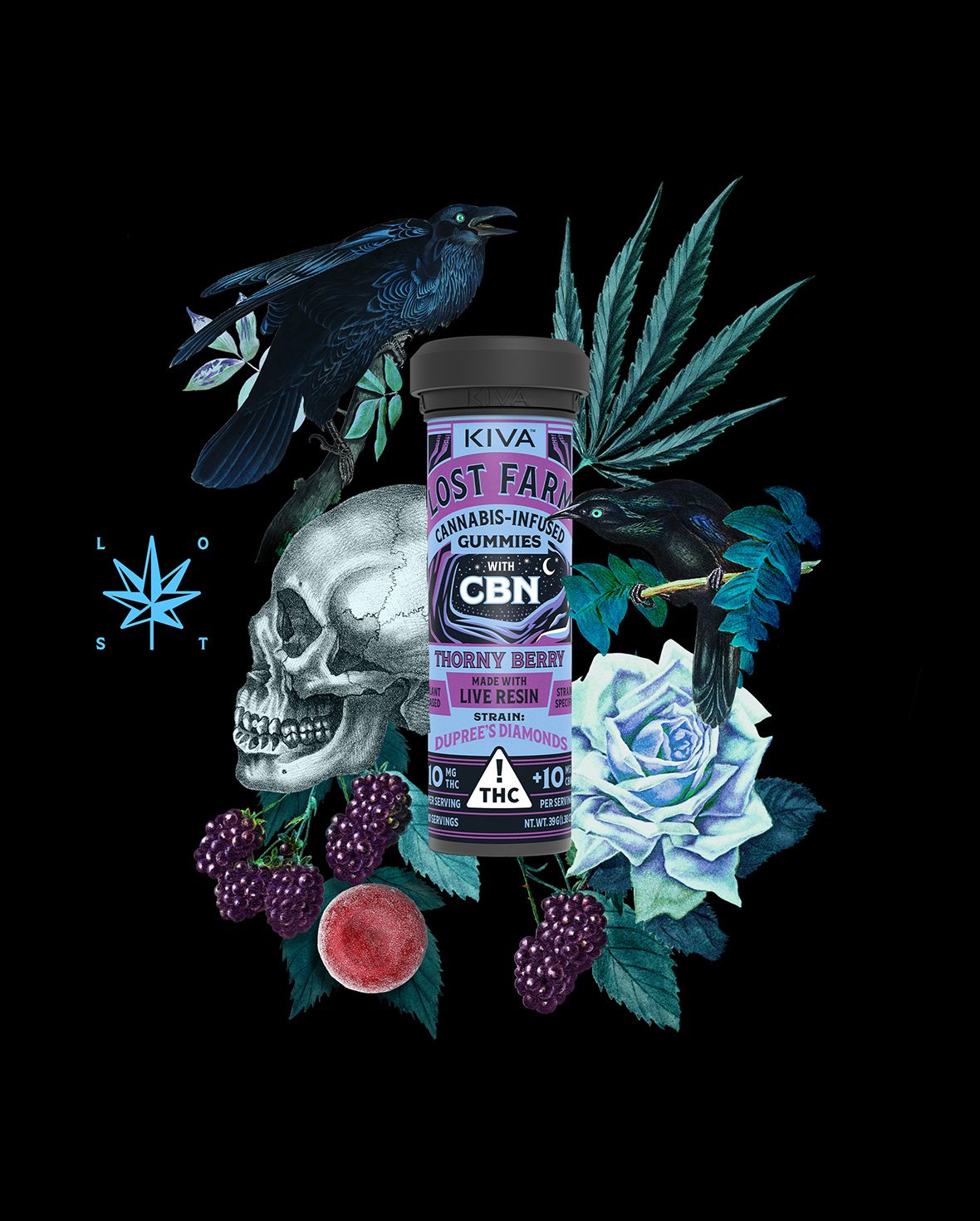 【限定15部】BerryVerrine Pure 007/015キャンバスアート Thorny Berry x Dupree's Diamonds Live Resin Gummies | Kiva Confections