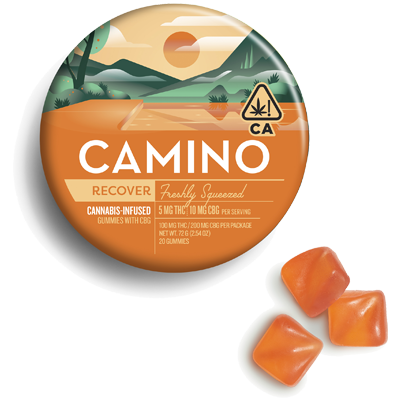 Camino Recover