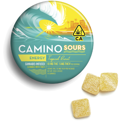 Camino Energy