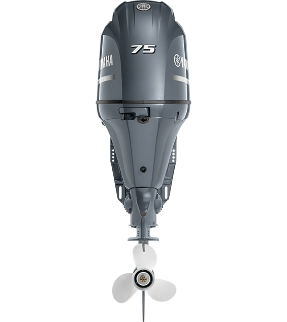 Yamaha F75 Midrange