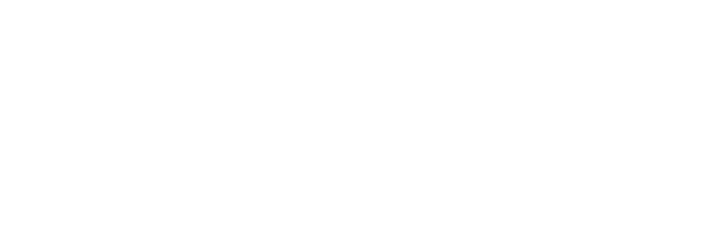 Fujimoto