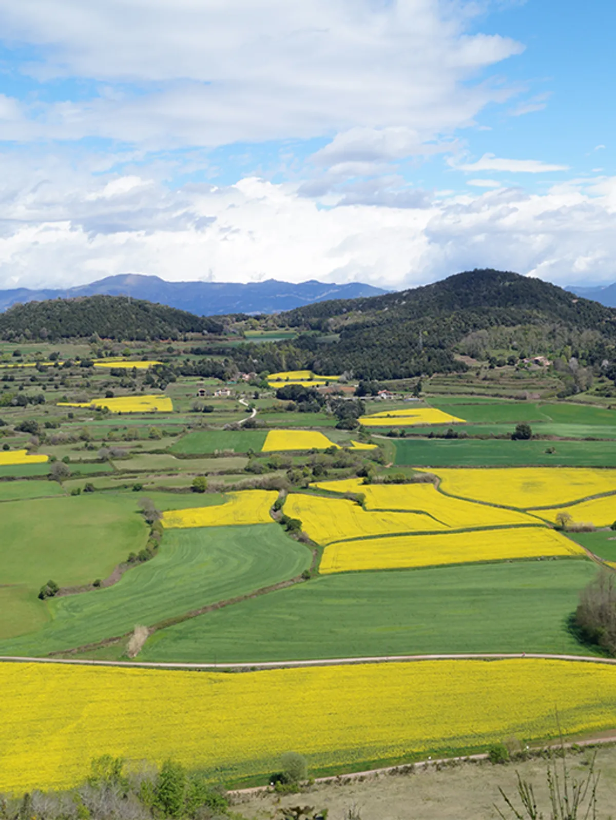 Catalonia — Day 2: Olot Loops or Rest Day
