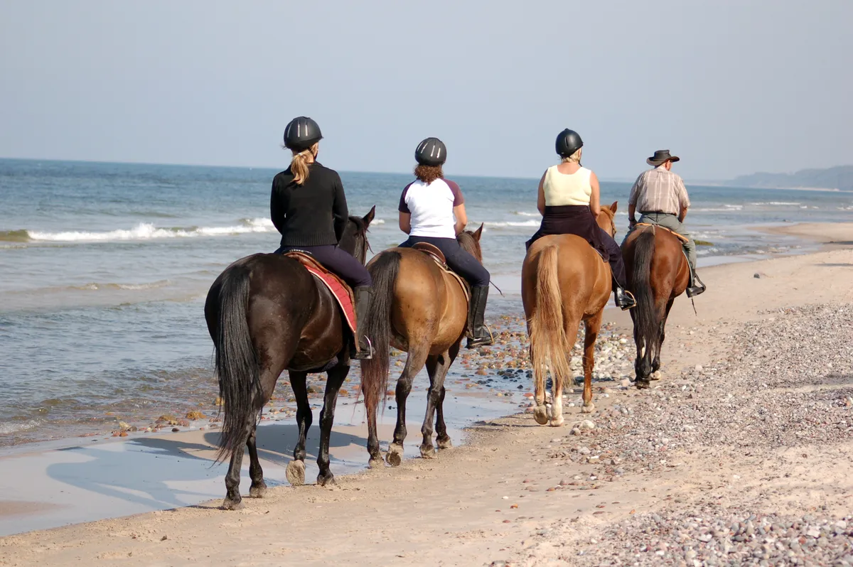 Horseback Riding