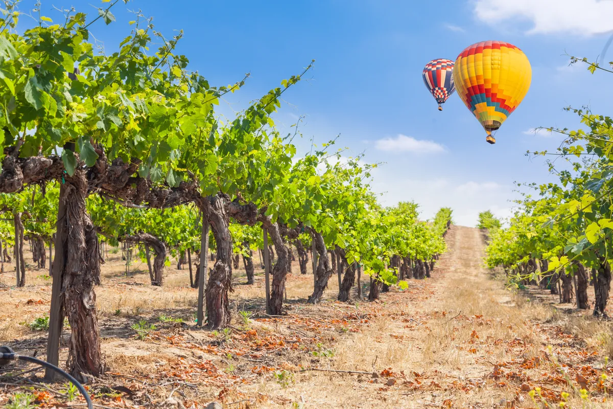 Hot Air Balloon Rides