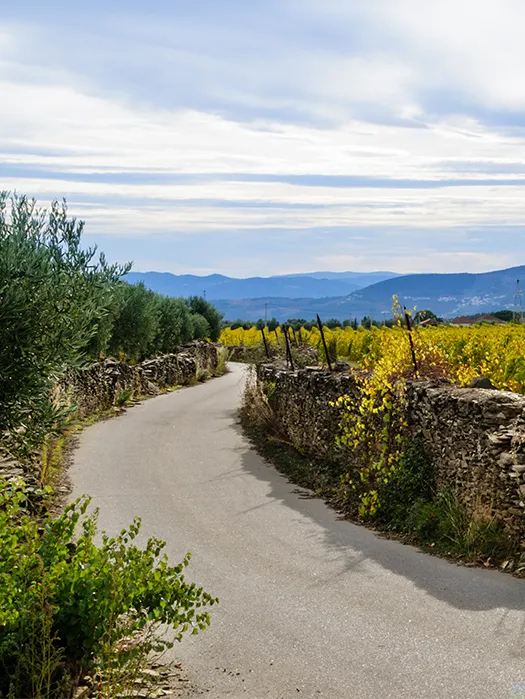 Douro Valley — Day 1: Porto to Vidago