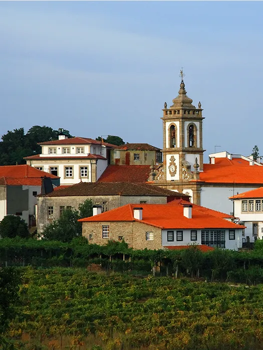 Douro Valley — Day 3: Vila Real to Pinhão