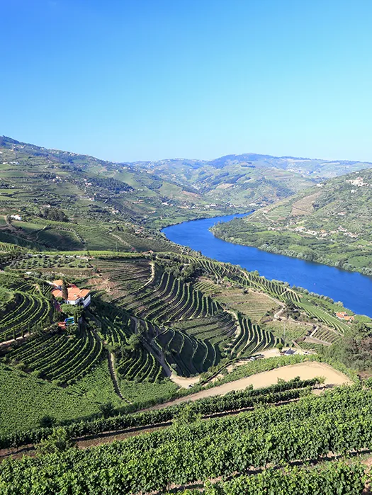 Douro Valley — Day 4: Pinhão Loops or Rest Day