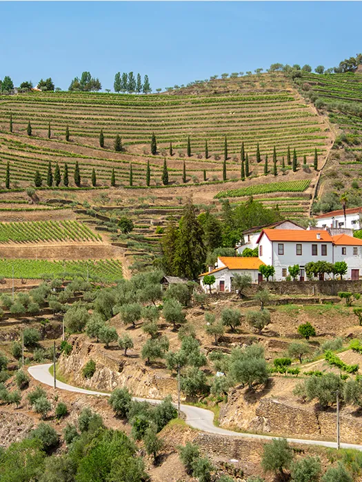 Douro Valley — Day 5: Pinhão to Peso da Régua