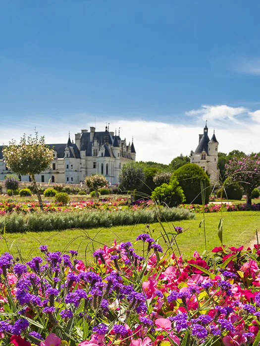 Loire Valley — Day 4: Amboise Loops (A) or Rest Day