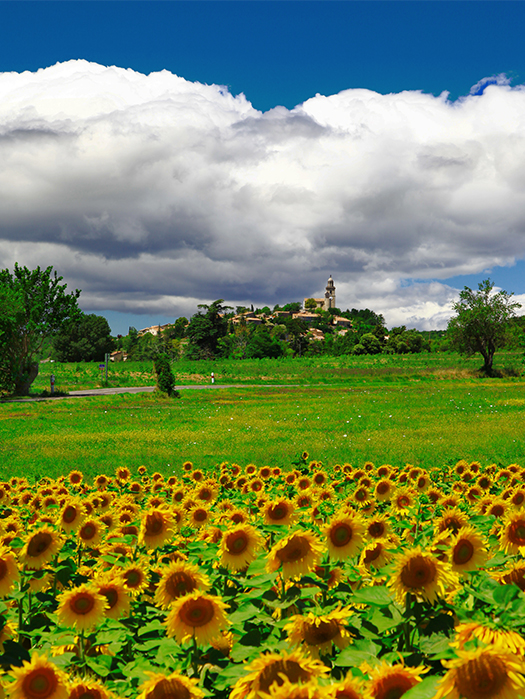 Tuscany — Day 4: San Gimignano to Sovicille