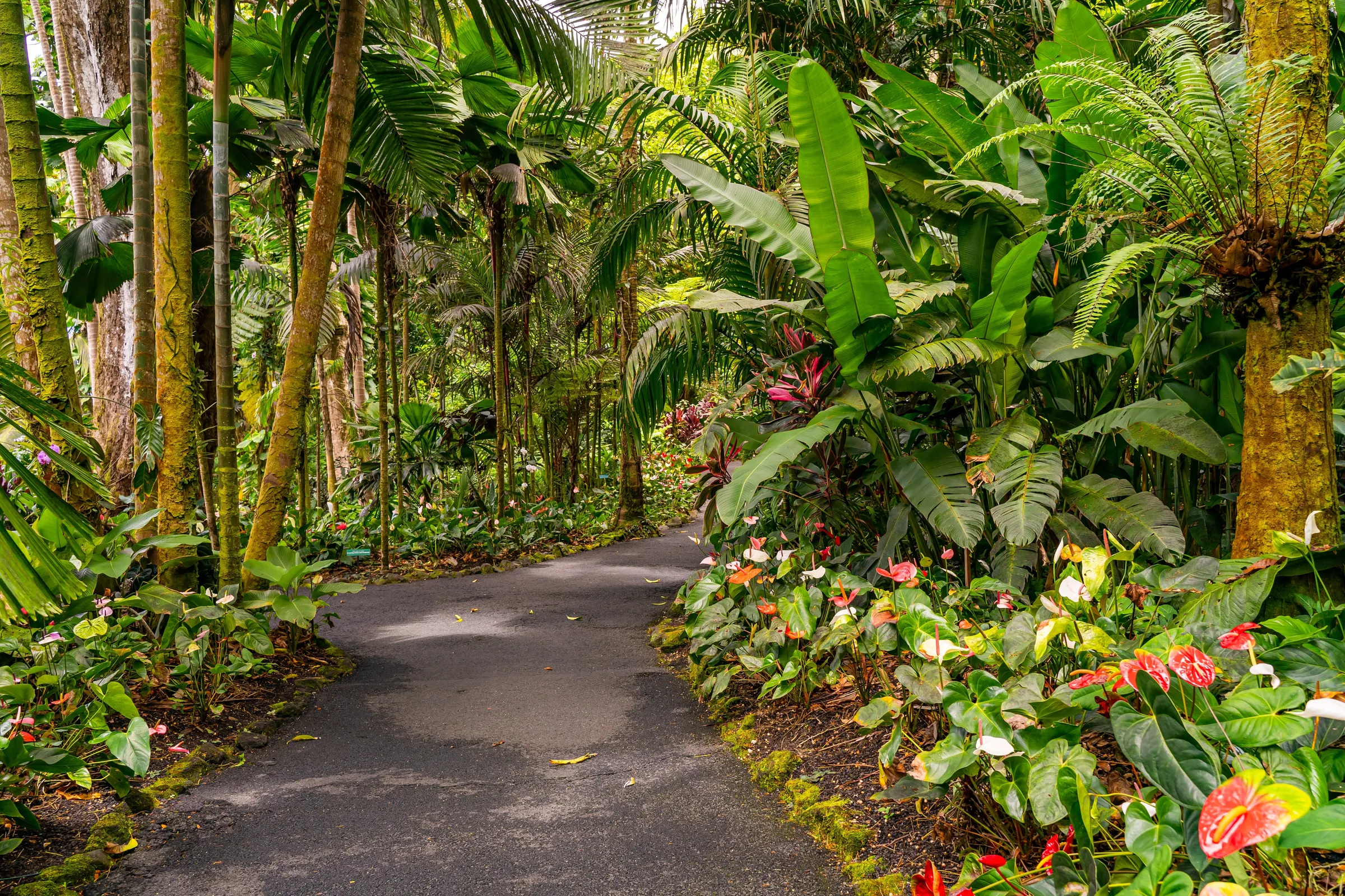 Hawaii - Slide 5